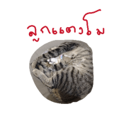 824580369