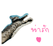 824580370