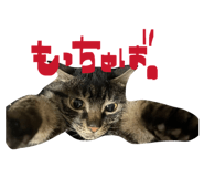 824582849