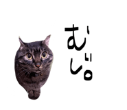 824582850