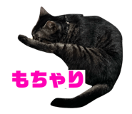 824582854