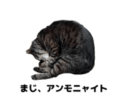 824582855