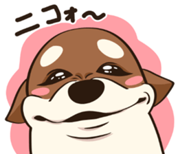 824594123