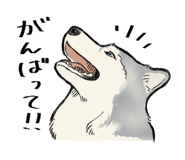 824600530