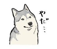 824600532
