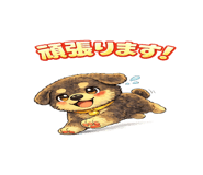 824607657