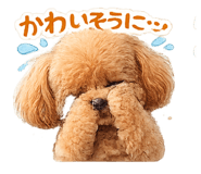 824632842