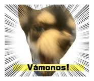 824634225