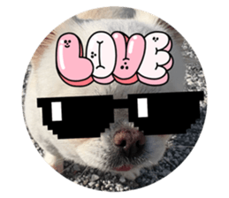824638464