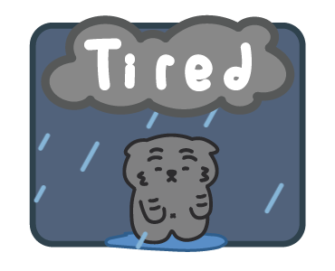 ลายที่ 13