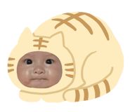 824693397