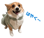 824703938