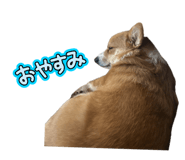 824703939