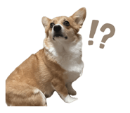 824703942