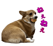824703948