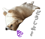 824703952