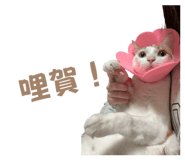 824704059