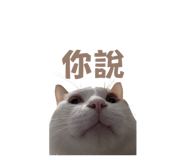 824704062