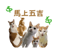 824704063