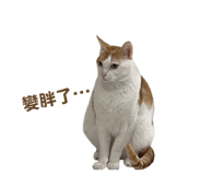 824704069