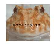 824718356