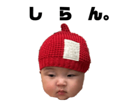 824720547