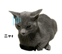 824730204