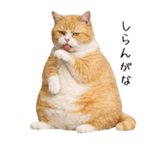 824735223