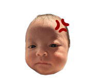 824738981