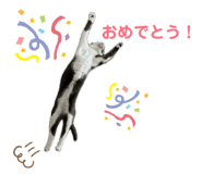 824761877