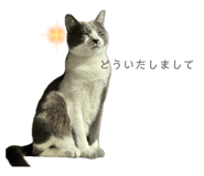 824761879
