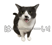 824761882