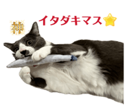 824761886
