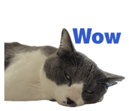 824761889