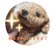 824770672