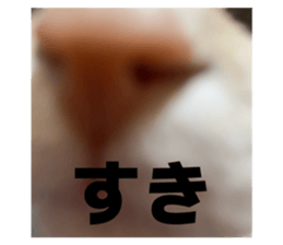 824771465