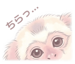 824773235