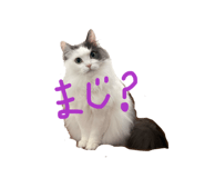 824775473
