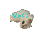 824775475