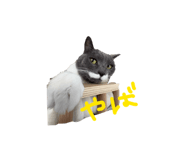 824775476