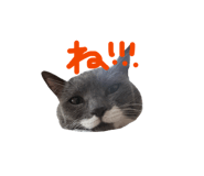 824775478