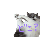 824775480