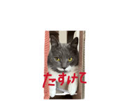 824775488