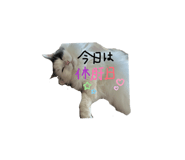 824775491