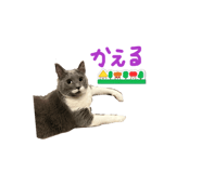 824775494