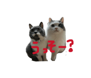 824775495