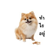 824802873