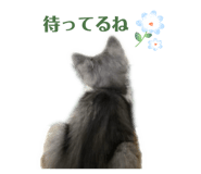 824810973