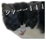 824810978