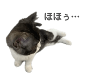 824810982